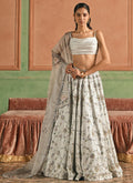 Grey Embroidered Beaded Lehenga