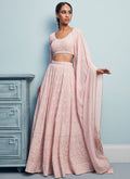 Blush Pink Thread Embroidered Lehenga