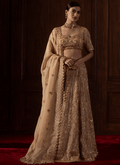 Beige Embroidered Viscose Organza Lehenga